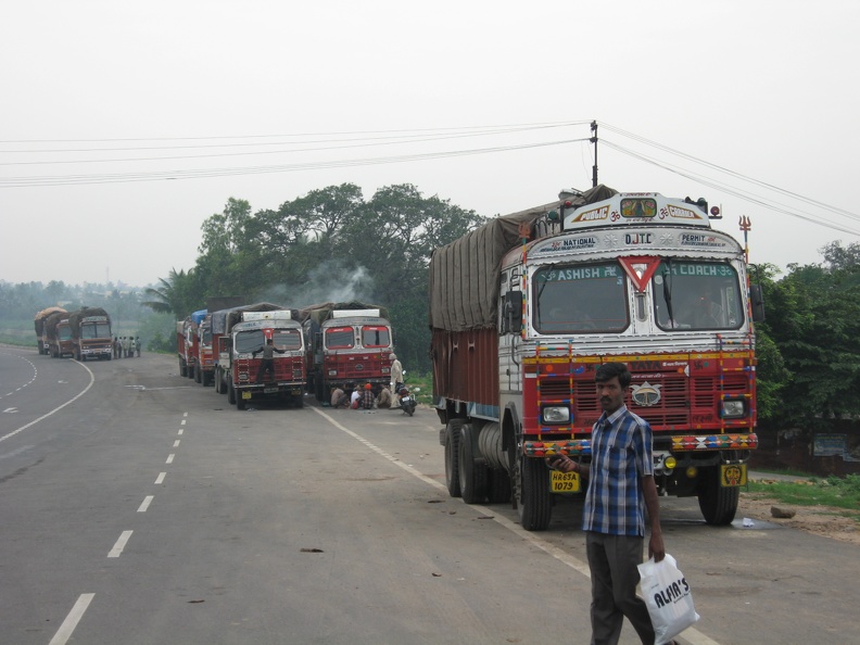 Trucks Lined up for Processing.JPG